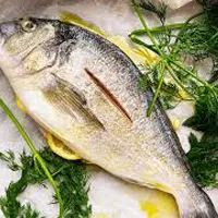 Selection of fresh Mediterranean fish on display at Koutouki Greek Restaurant Soho Square Sharm El Sheikh