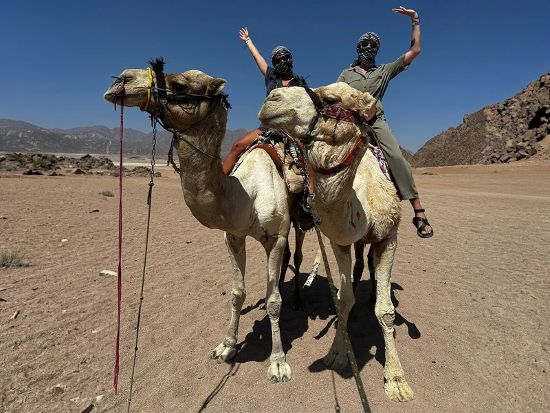 camel ride in sharm el sheikh desert